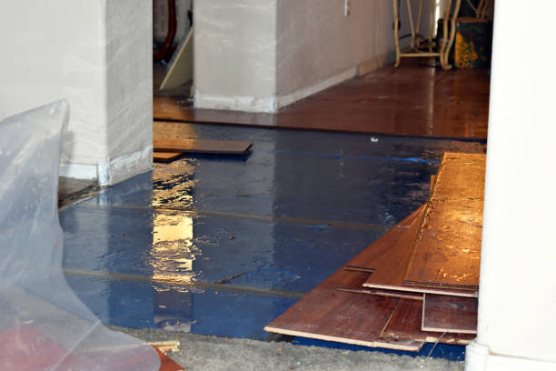 Professional Basement Flood Cleanup technician working in Samaria, MI