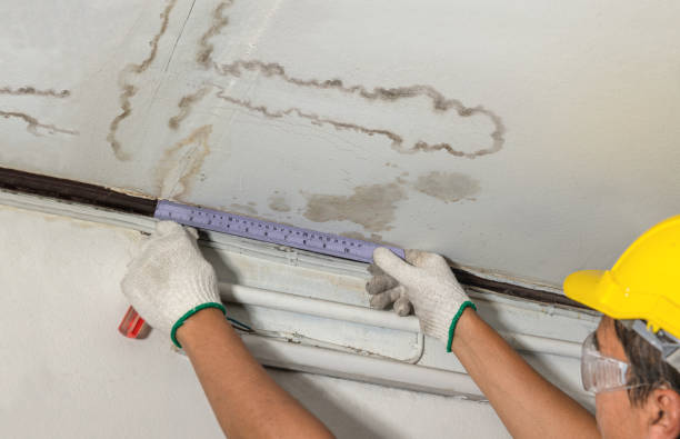 Reliable Basement Flood Cleanup contractor in Samaria, MI by Aqua Guard Water Damage